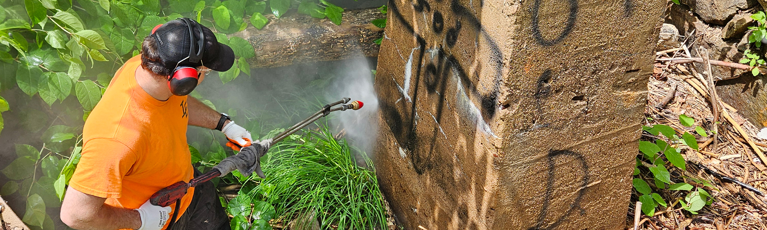 Graffiti Removal