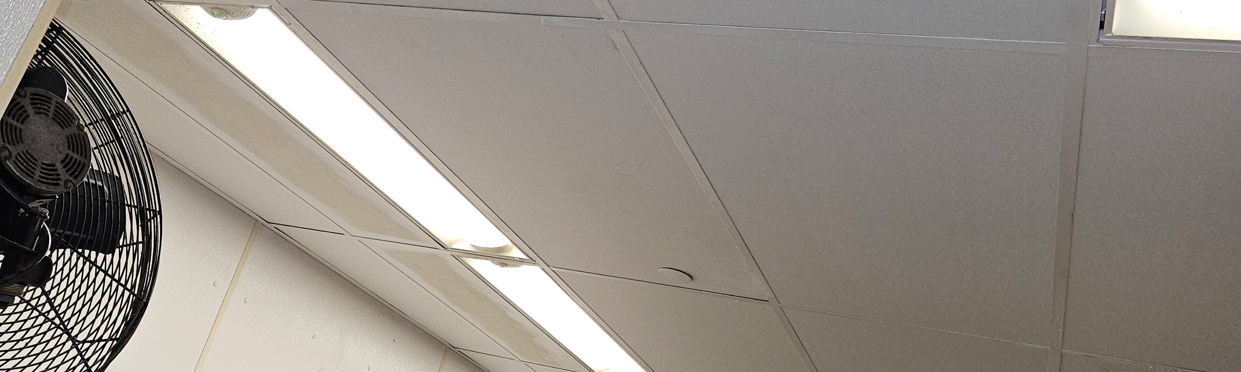 New Ceiling Tiles