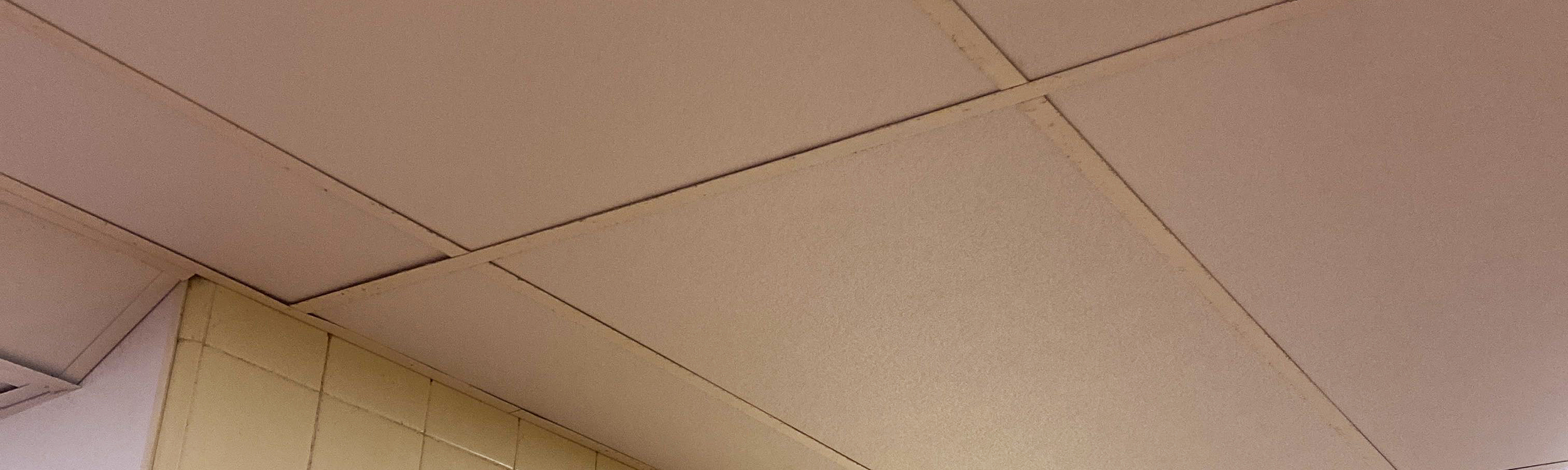 New Ceiling Tiles