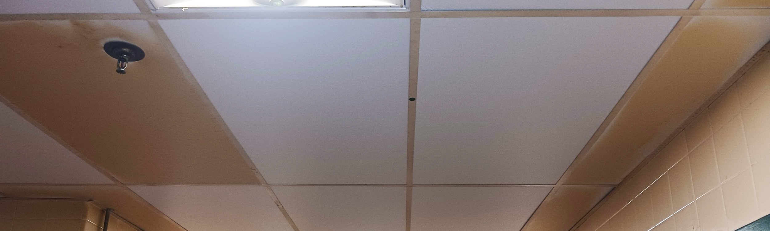 Some New Ceiling Tiles