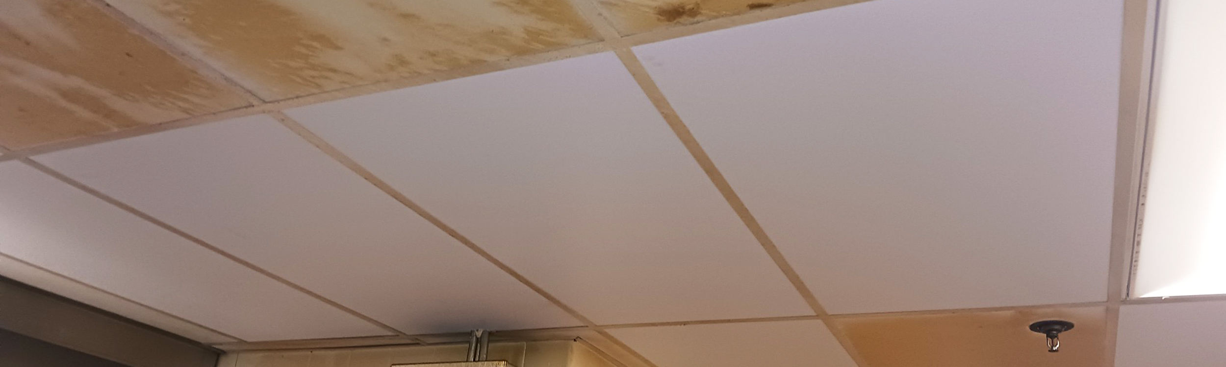 Some New Ceiling Tiles